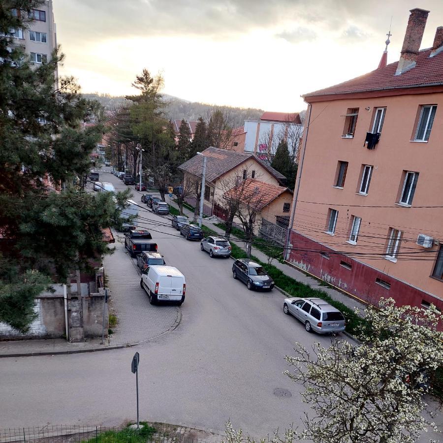 Fely Room Petroşani Exteriör bild