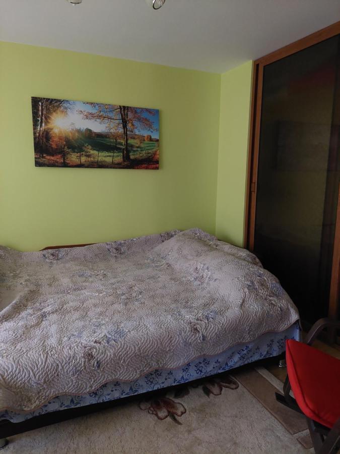 Fely Room Petroşani Exteriör bild